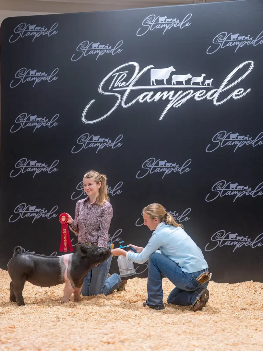 Stampede highlight 17