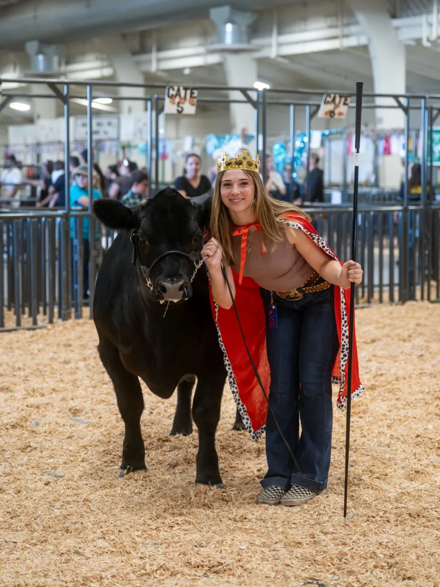 An exhibitor leads her steer with the champion ribbon in hand.