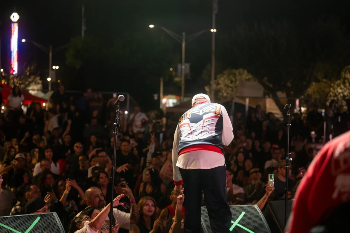 Hands go up in the crowd during the night concert.