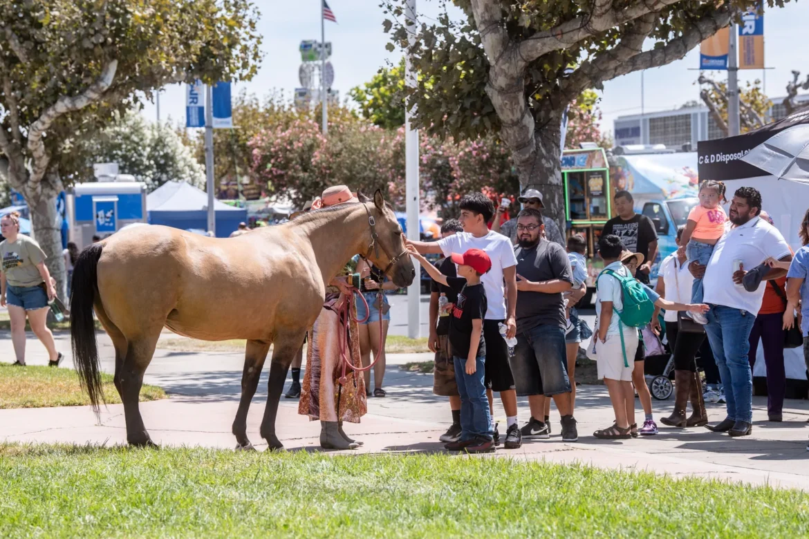 Fairgoers gather around a horse on the lawn.