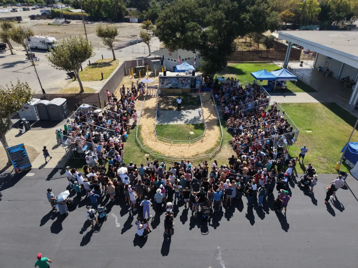 Aerial view of a packed crowd ringing the arena on a summer afternoon.