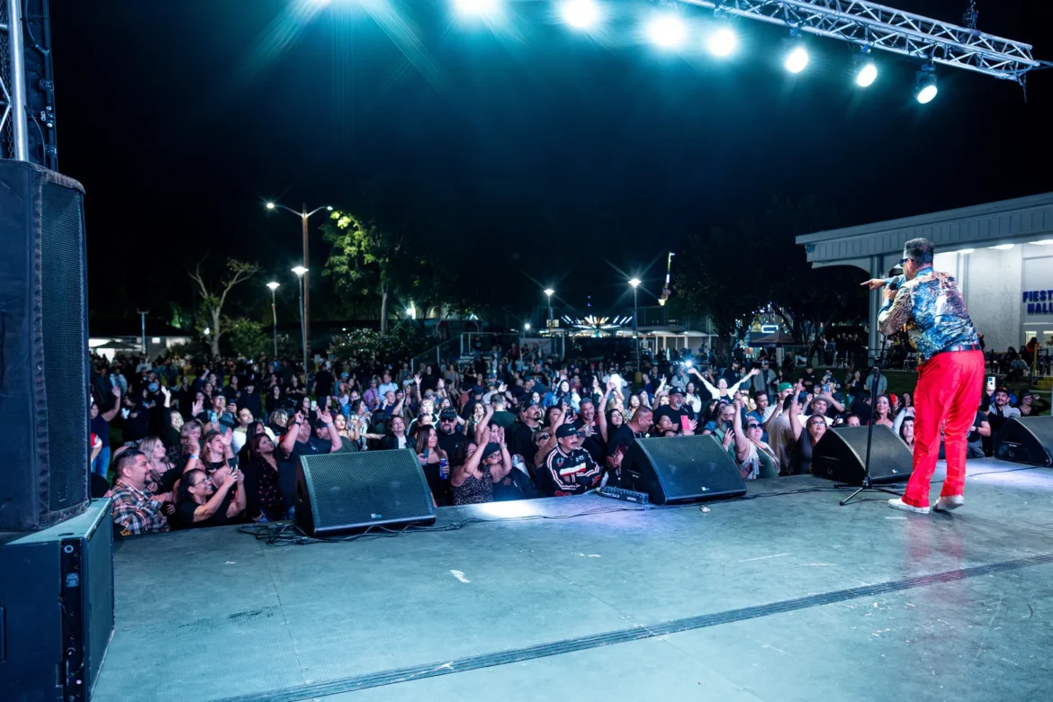 A performer on the Main Stage under the lights with the crowd watching.