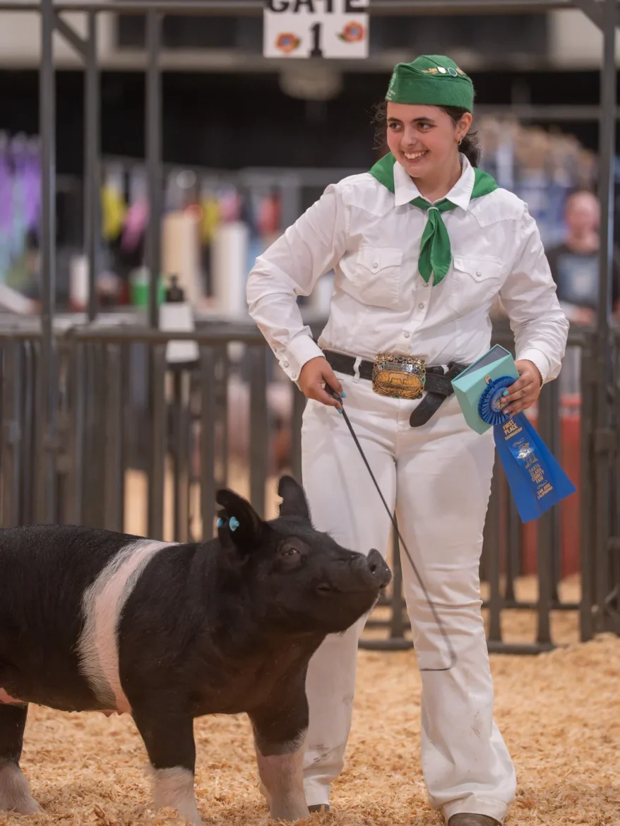 A 4-H exhibitor holds a blue ribbon while their hog walks alongside.
