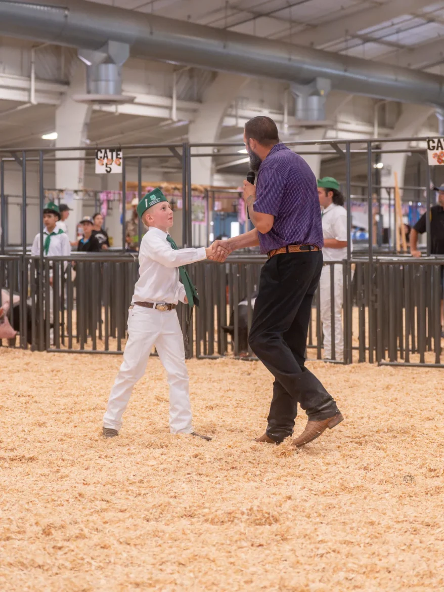A young 4-H exhibitor shakes hands with the judge after their class.