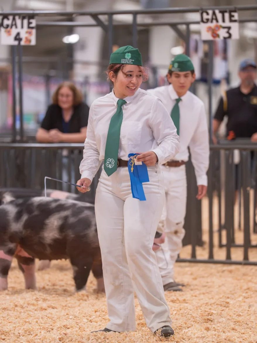A 4-H exhibitor carries a blue ribbon out of the ring.