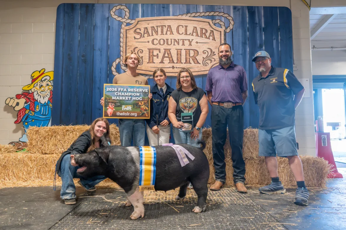 The 2026 FFA Reserve Champion Market Hog with its exhibitor and the award party.