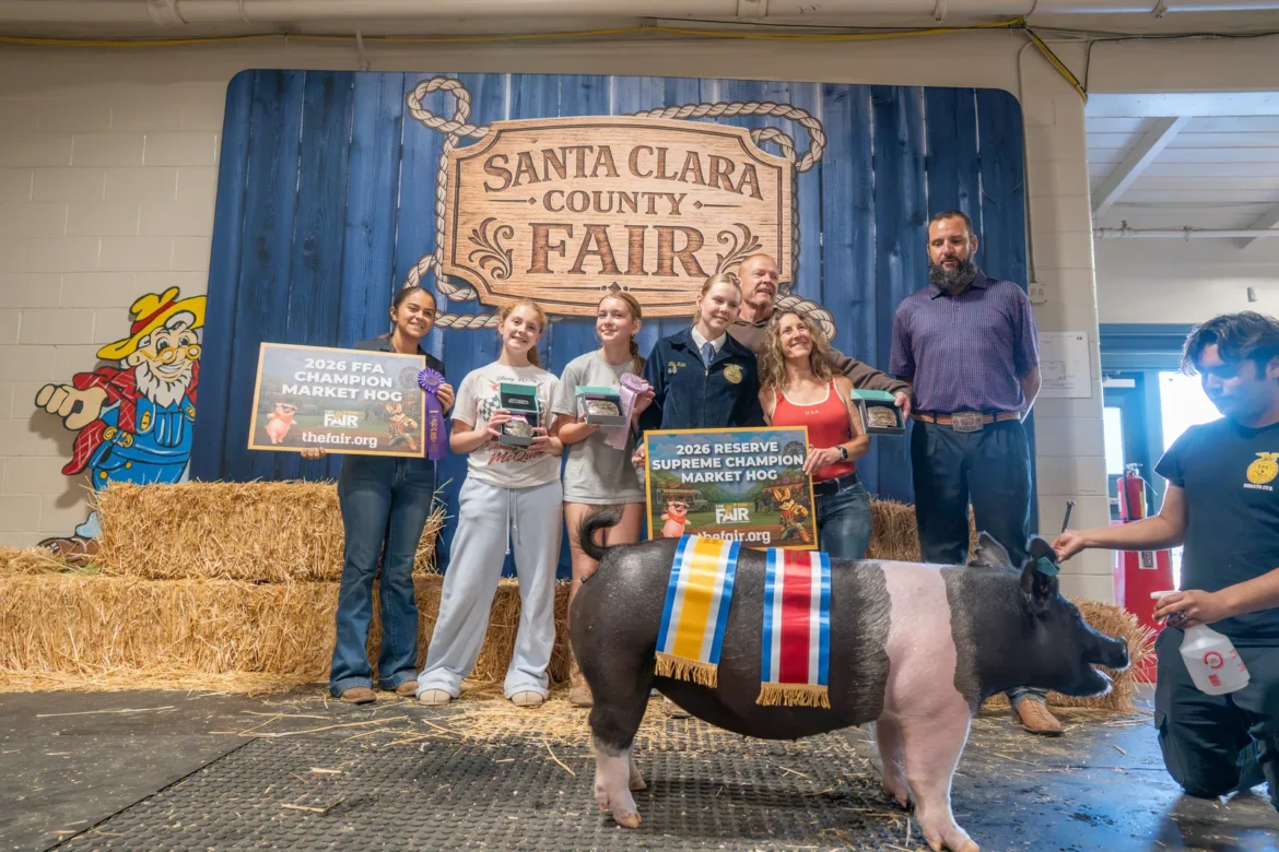 The 2026 FFA Champion Market Hog, also named Reserve Supreme Champion, with the award party.
