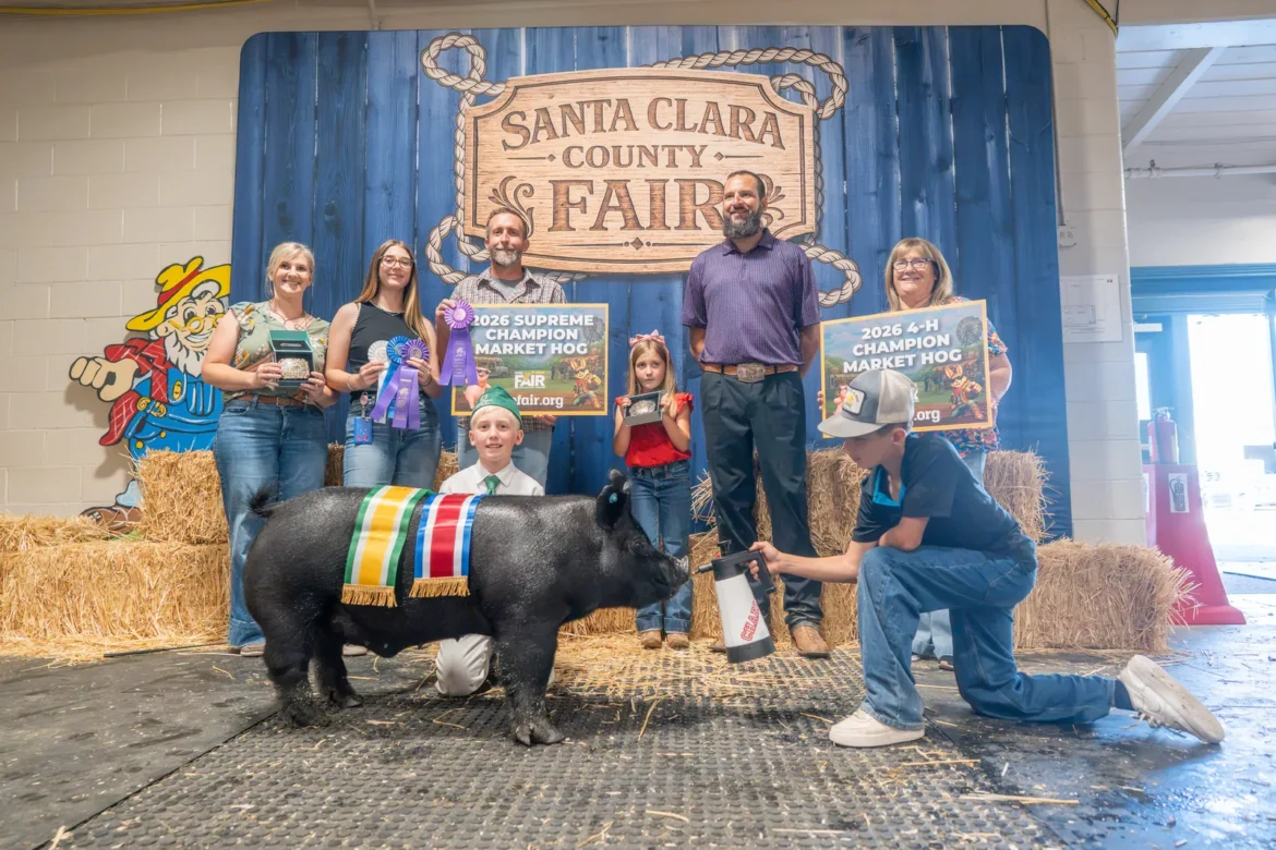 The 2026 Supreme Champion Market Hog and 4-H Champion Market Hog with the award party.