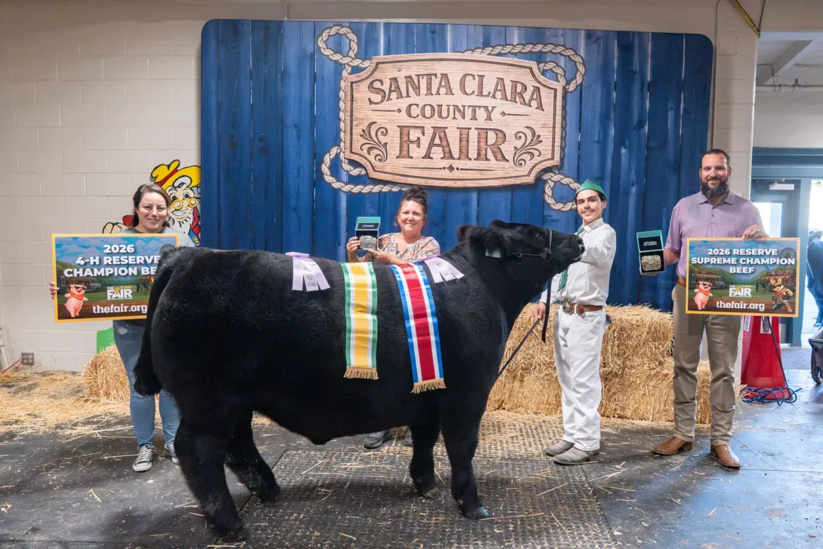 The 2026 4-H Reserve Champion Beef, also Reserve Supreme Champion, with the award party.