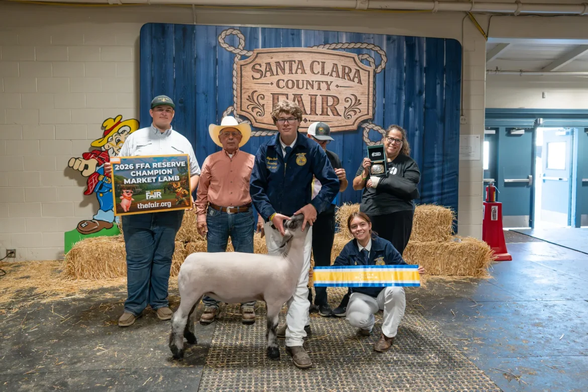 The 2026 FFA Reserve Champion Market Lamb with its exhibitor and the award party.