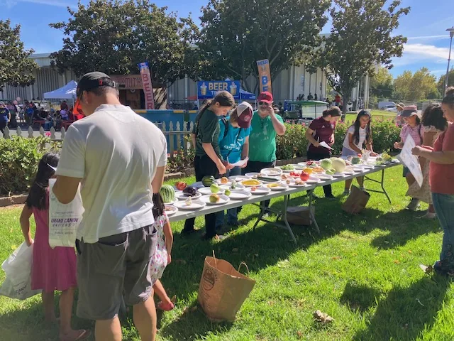 Fairgoers gather along a tasting table on the lawn.