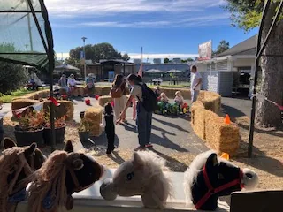 Three miniature horses look out over the rail of their pen.
